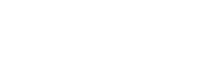socialbuzzmedia-white-logo